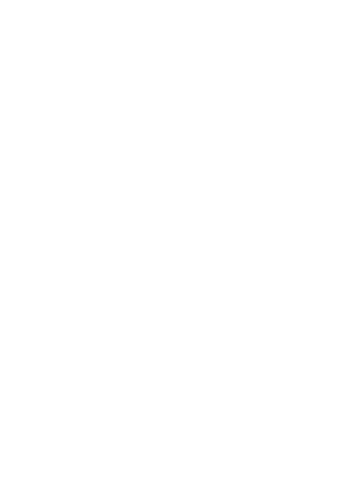 logo nice airlines mathisrb