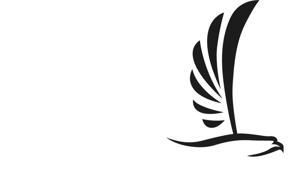 logo nice airlines mathisrb